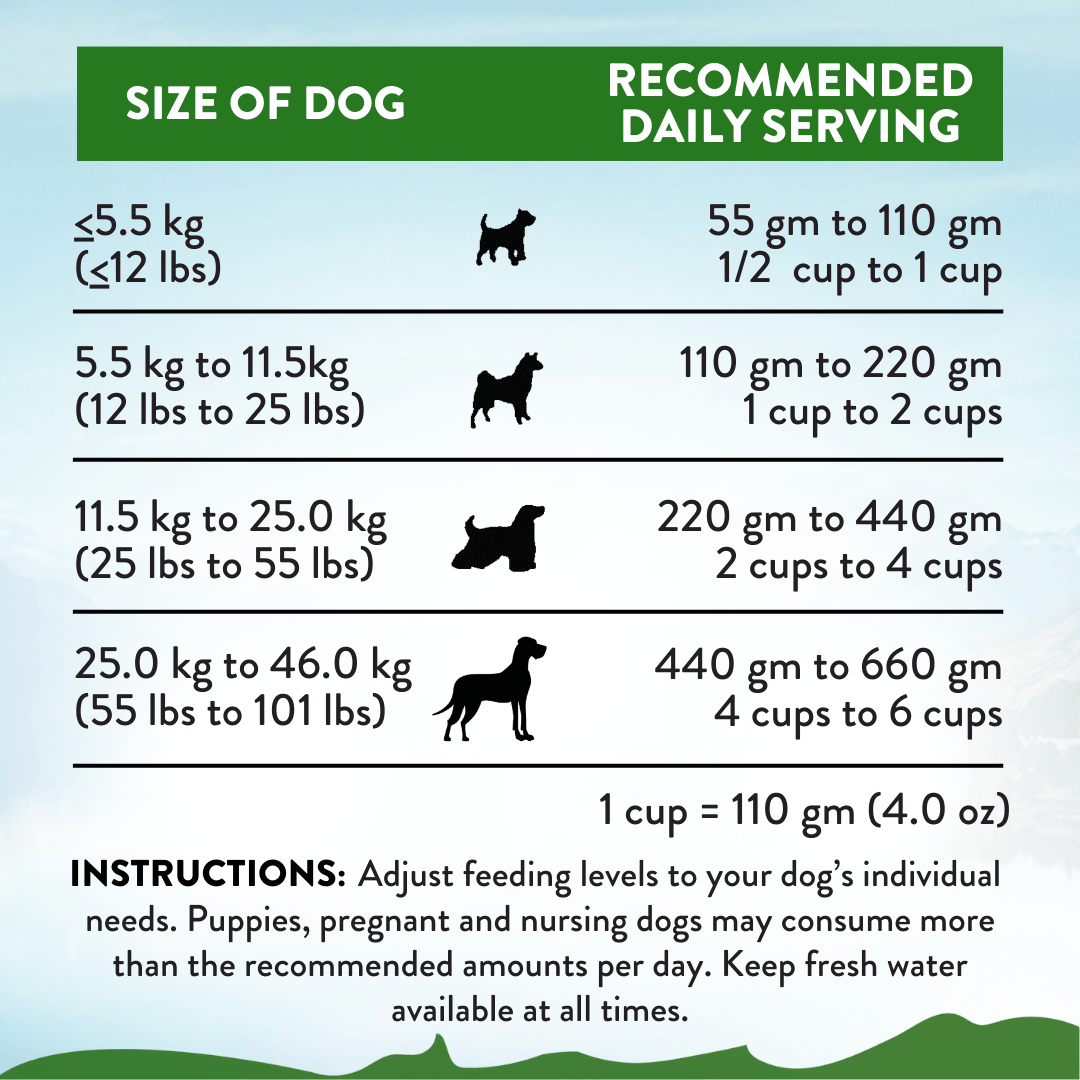 Zen Vegetarian Dog Food & Vegan Treats Bundle package, product photo 6 of 13