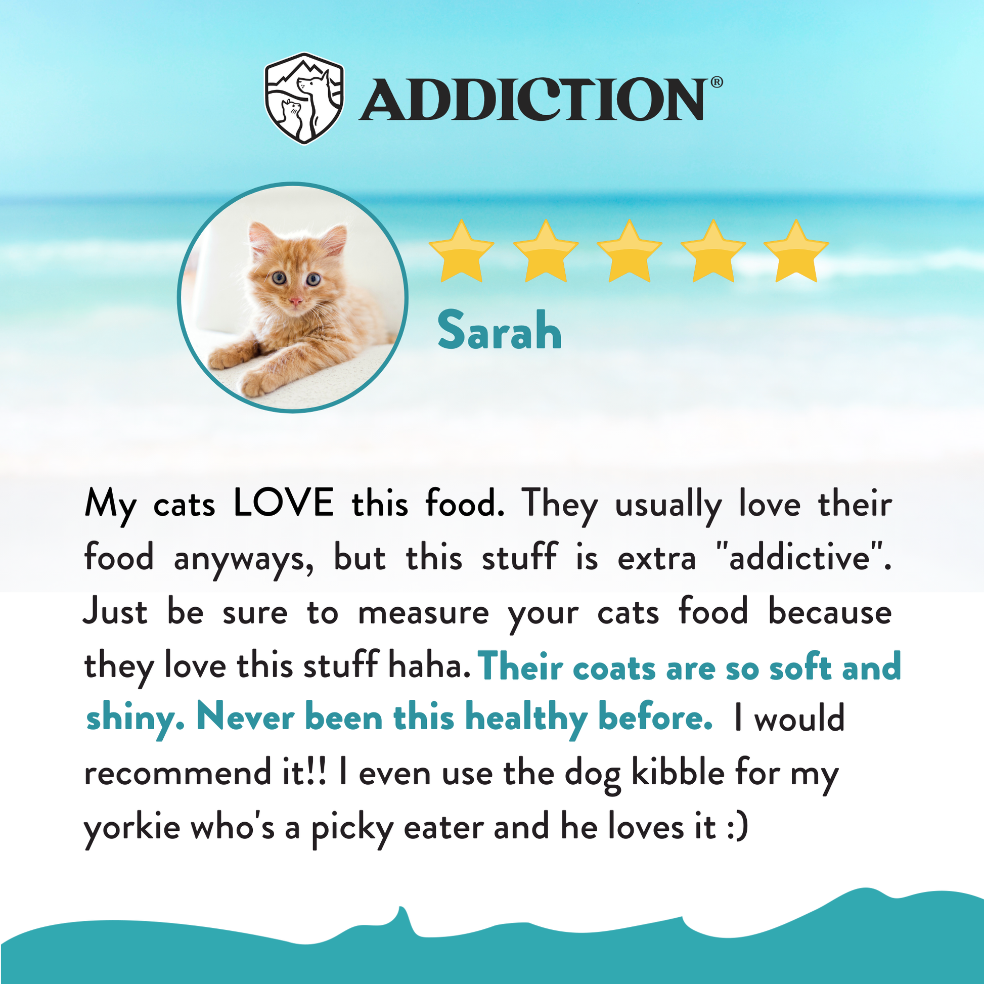 Salmon Bleu Dry Cat Food package, product photo 8 of 23