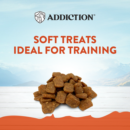 Dog treats with 'Addiction' branding and text about soft treats ideal for training on a scenic background.