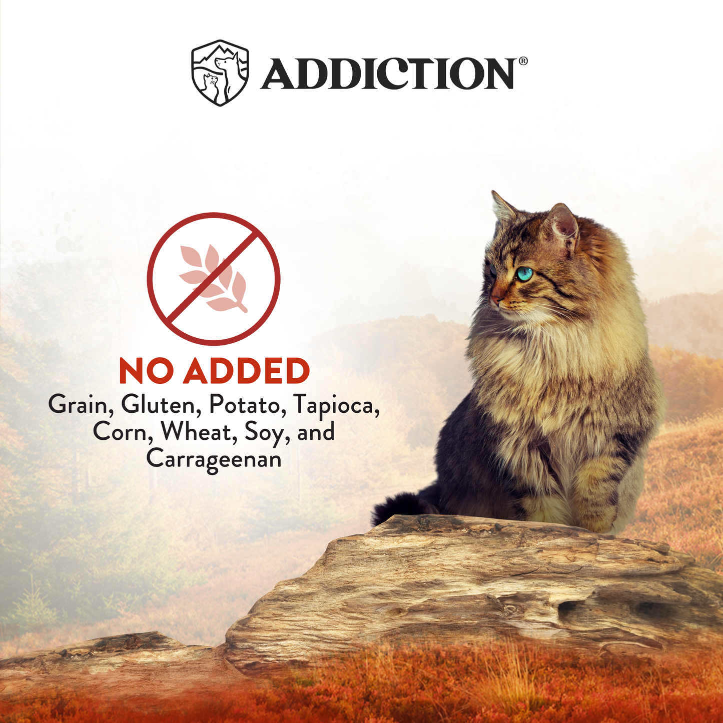 Cat sitting on a rock with 'Addiction' brand logo and text about added ingredients.