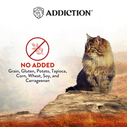 Cat sitting on a rock with 'Addiction' brand logo and text about added ingredients.