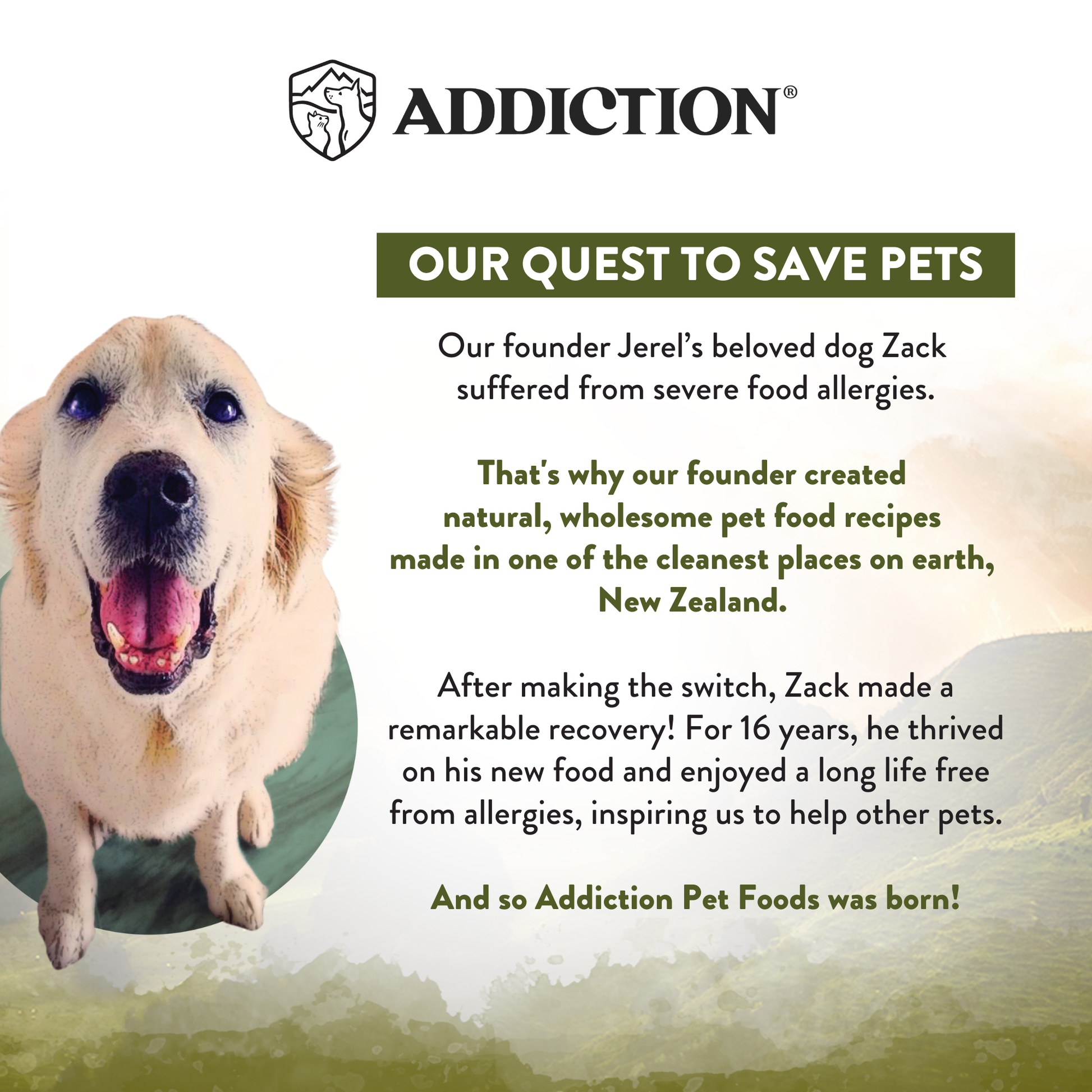Advertisement for Addiction Pet Foods featuring a happy dog with text about the brand's mission.