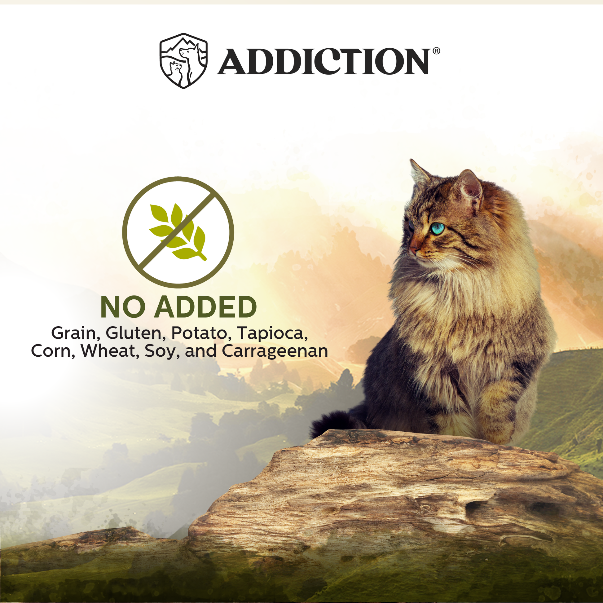 Cat sitting on a rock with 'Addiction' brand logo and text about added ingredients.