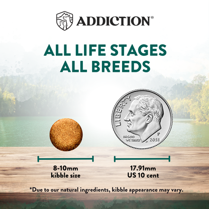 Comparison of kibble size to a US dime with 'Addiction' branding and text about all life stages and breeds.