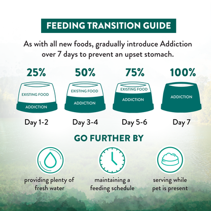 Feeding transition guide for a pet with stages of addiction and corresponding actions to prevent an upset stomach.