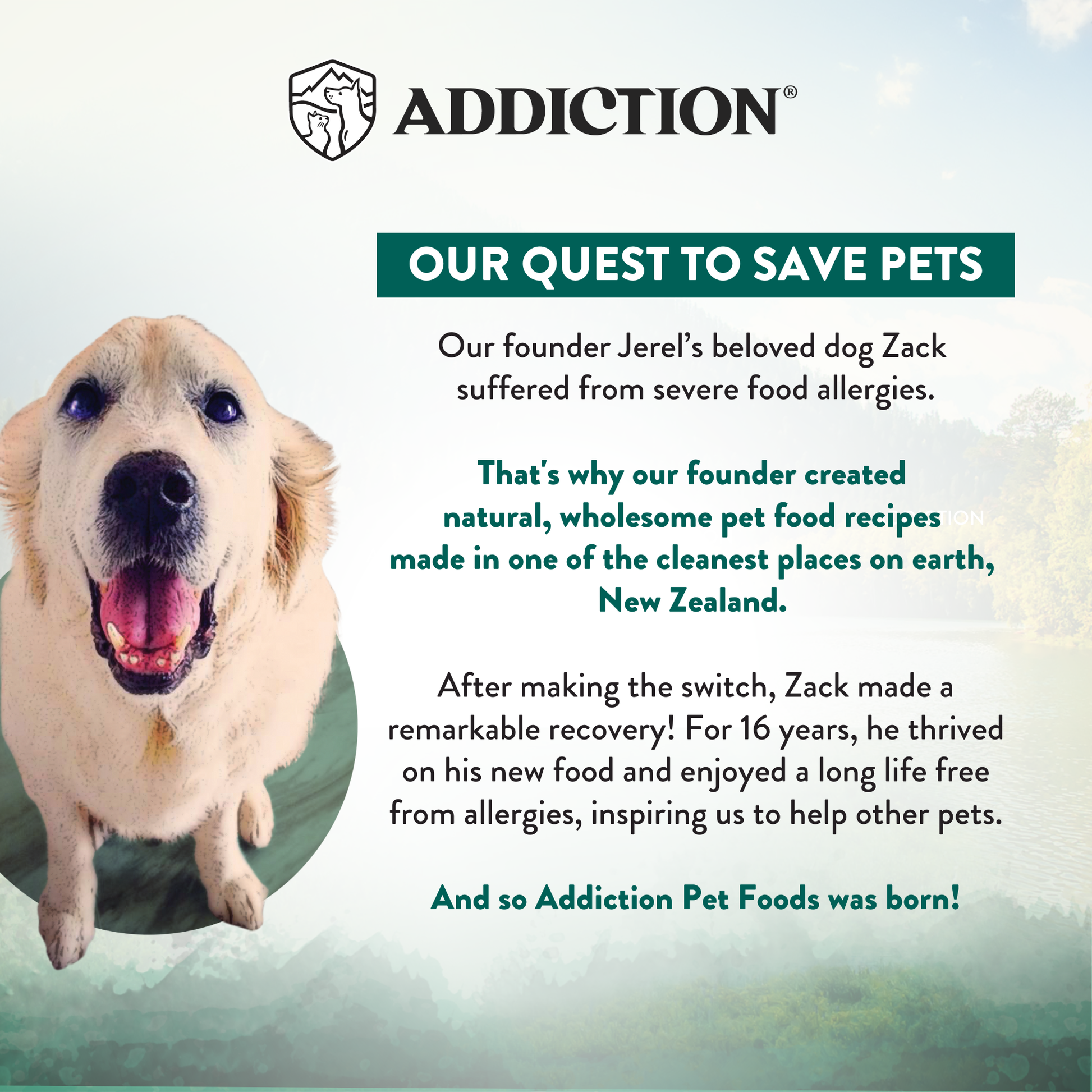 Advertisement for Addiction Pet Foods featuring a happy dog with text about the brand's mission.