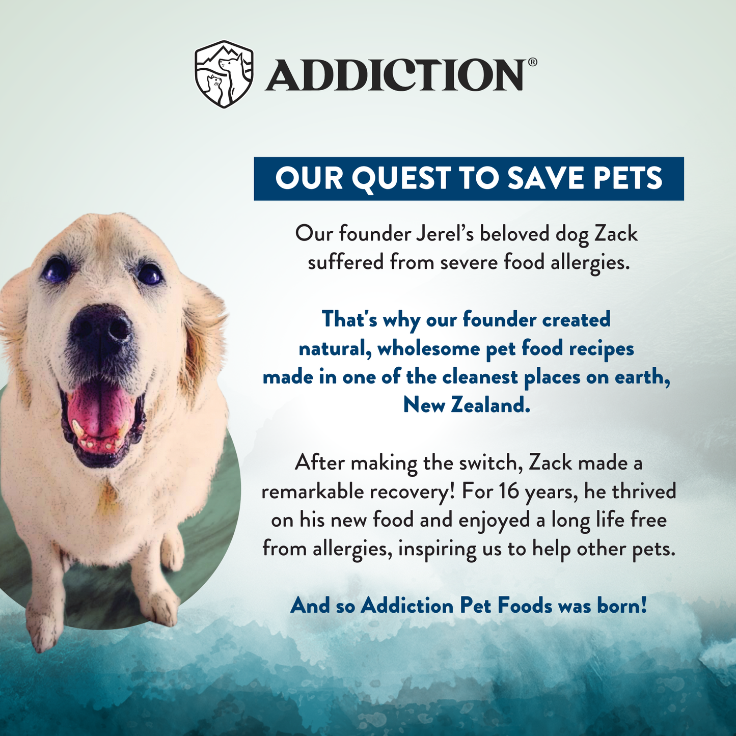 Advertisement for Addiction Pet Foods featuring a happy dog with text about the brand's mission.