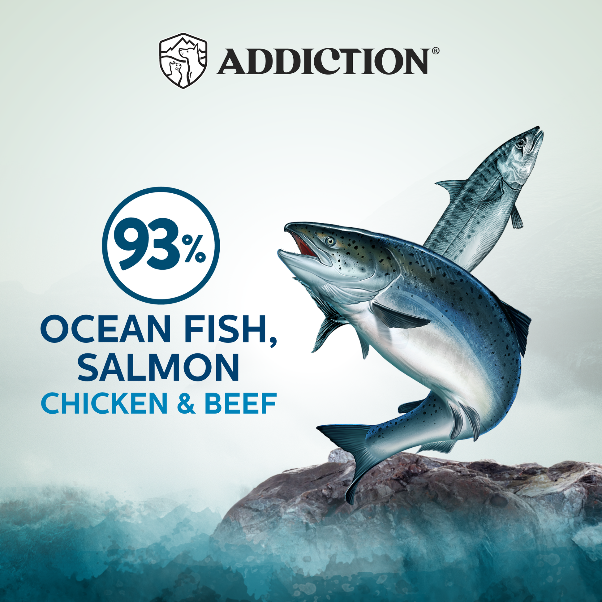 Fish on a rock with 'Addiction' branding and percentage of ocean fish, salmon, chicken, and beef.