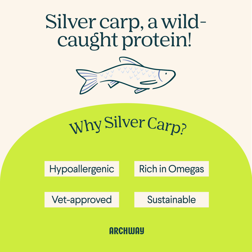 Advertisement for silver carp as a protein source with text and a fish illustration on a beige background.