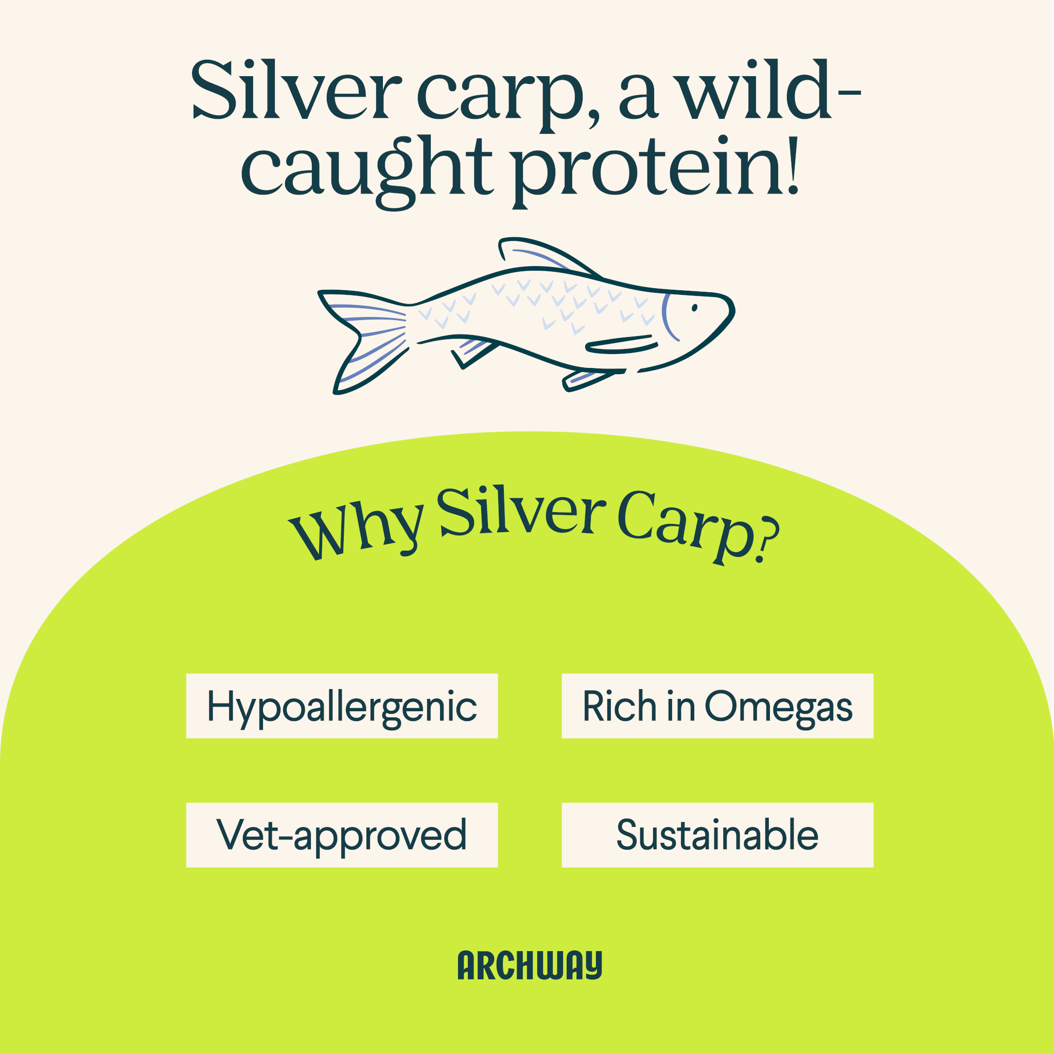 Advertisement for silver carp as a protein source with text and a fish illustration on a beige background.