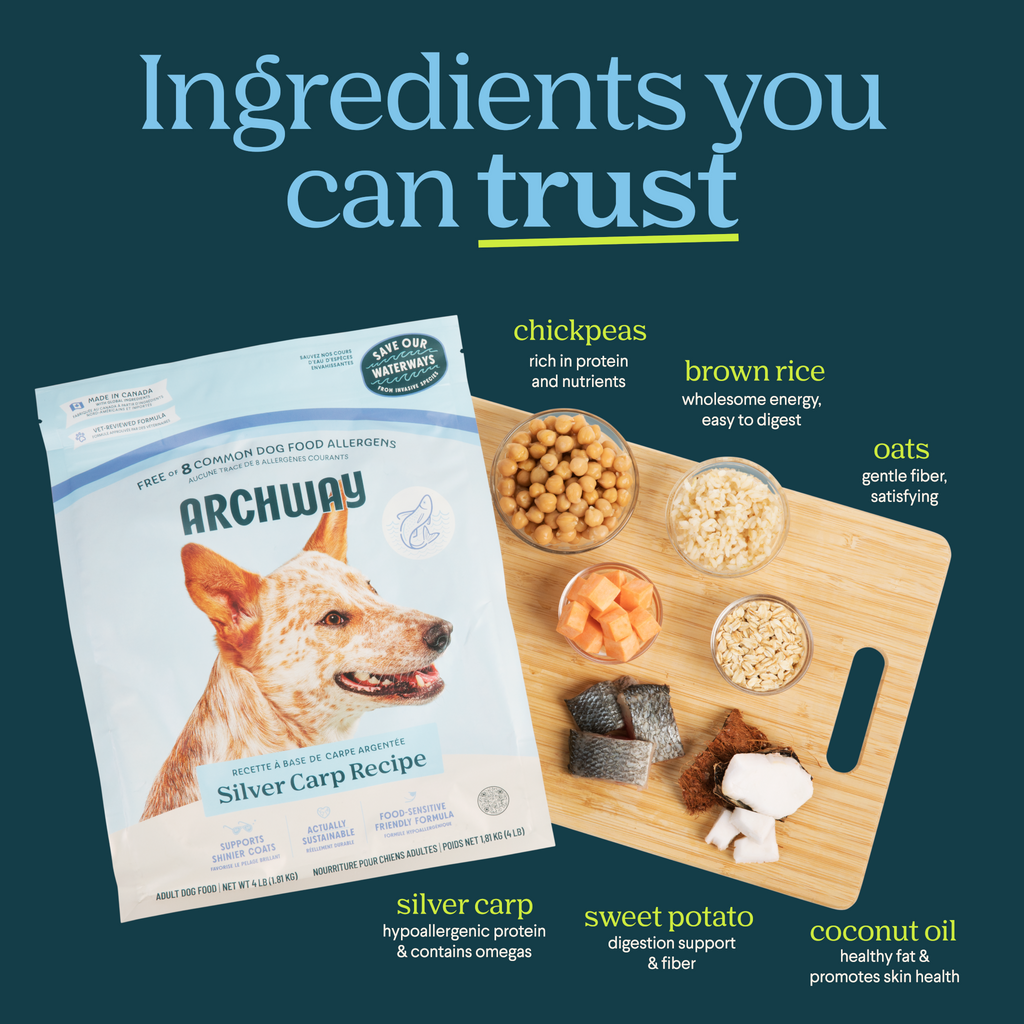 Archway dog food package with ingredients displayed on a cutting board against a dark green background.