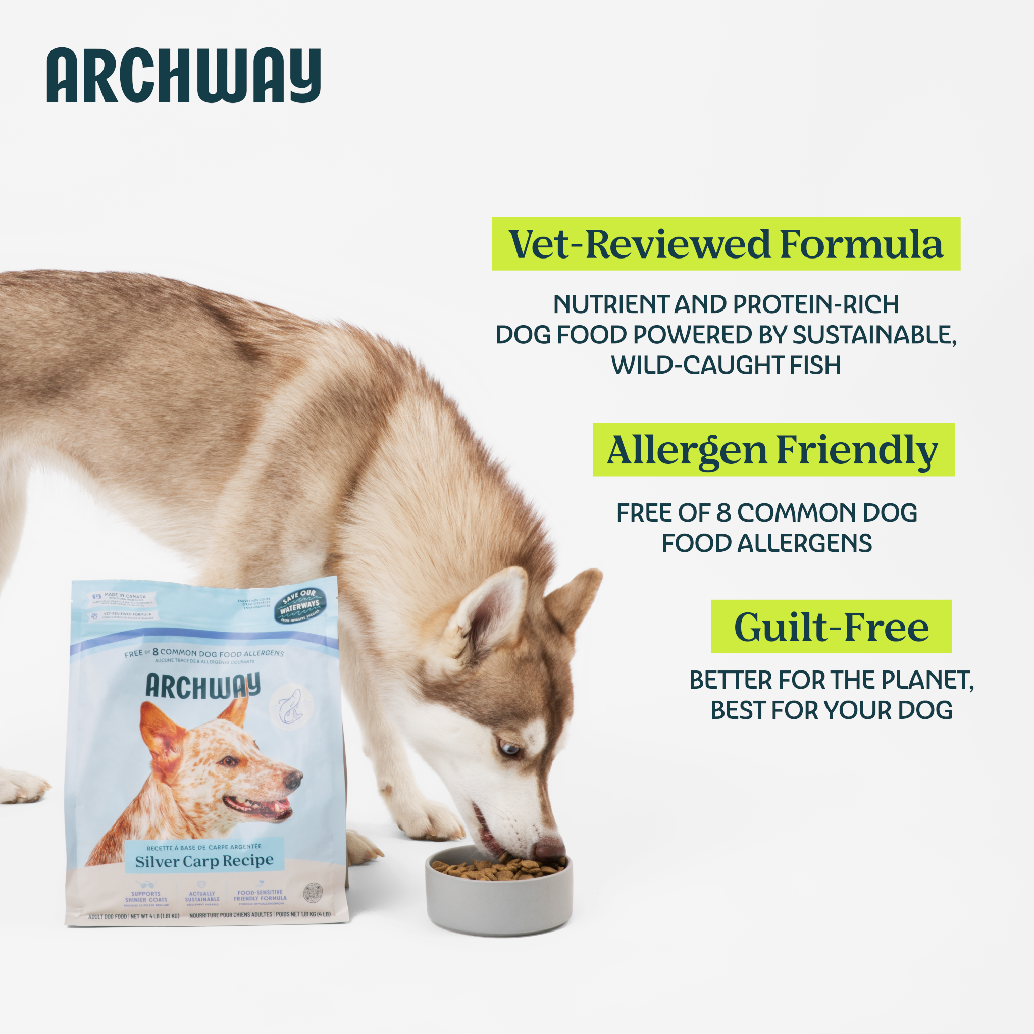 Dog eating from a bowl with Archway dog food packaging and product features listed.