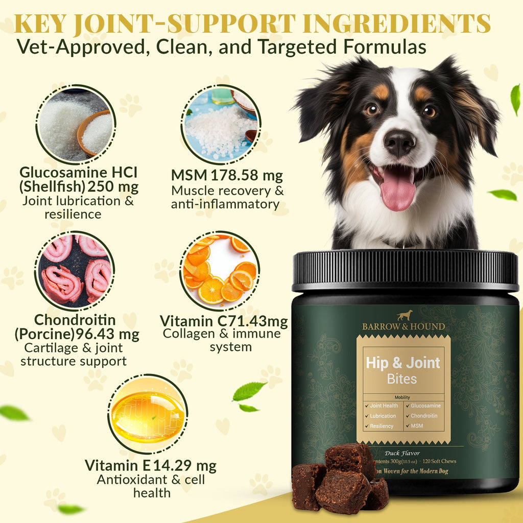 Dog supplement product with key joint-support ingredients listed and a smiling dog.