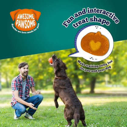 Zen Vegetarian Dog Food & Vegan Treats Bundle package, product photo 12 of 13