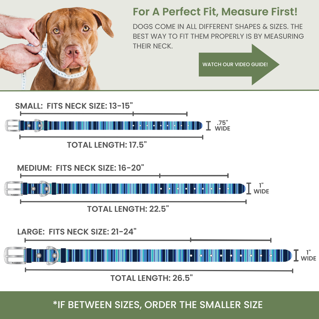 Dog collar size chart with measurements and a visual of a dog wearing a collar.
