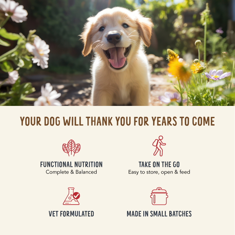 Happy puppy in a garden with text about dog food benefits