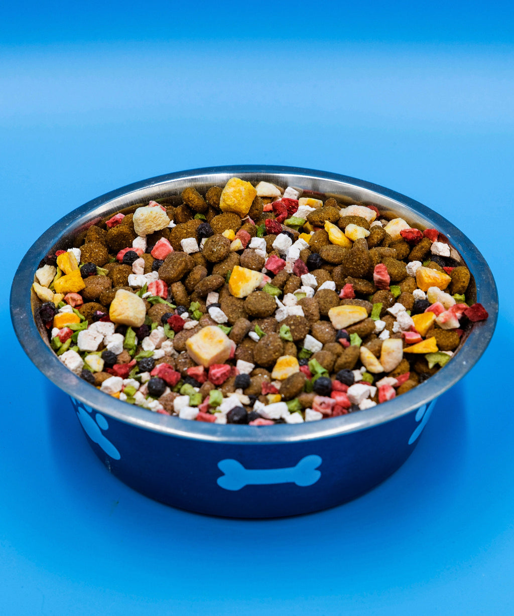 Dog food in a blue bowl with a bone design on a blue background