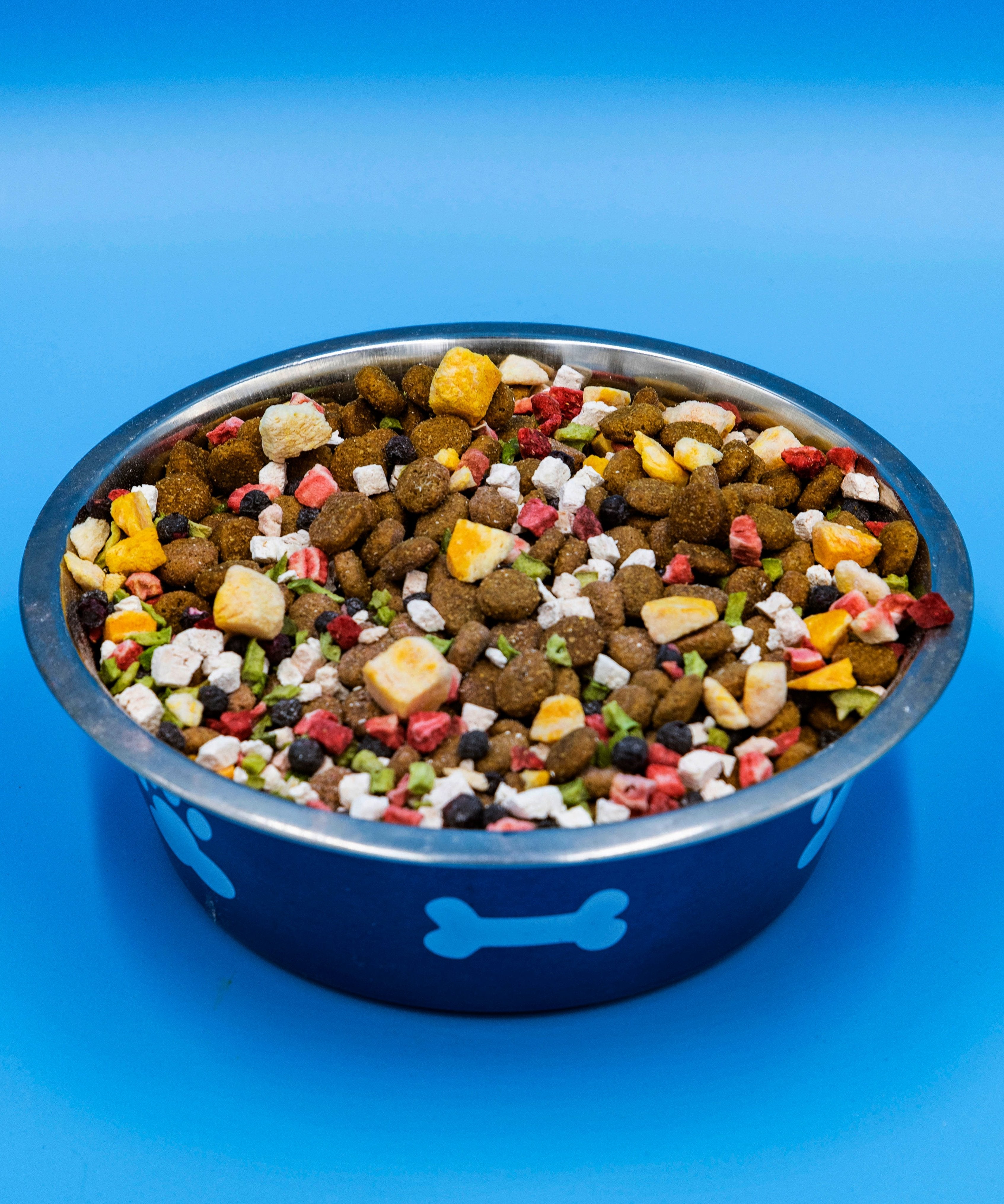 Dog food in a blue bowl with a bone design on a blue background