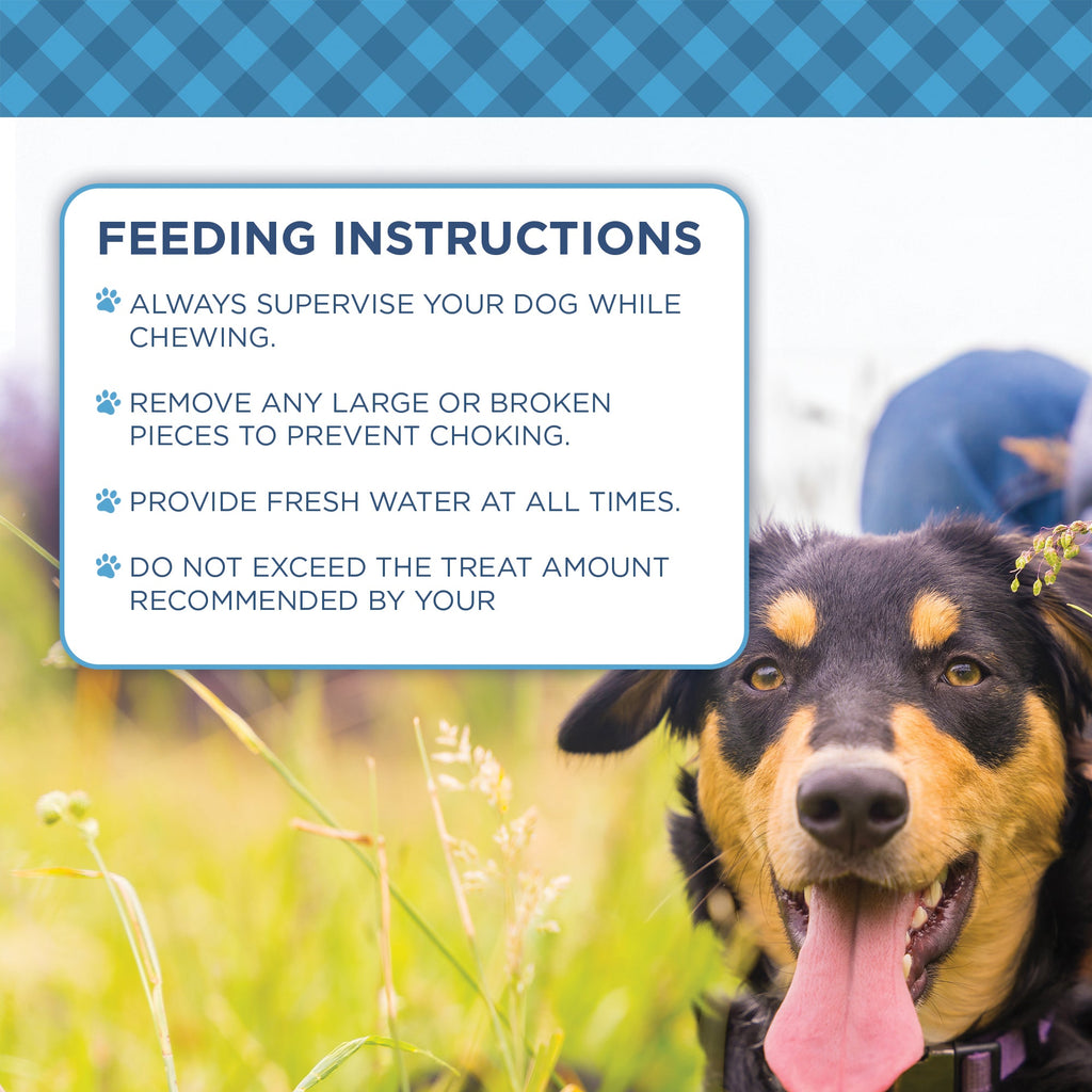 Country Living Beef Backstrap Tendon Dog Chews – 5 Count Pack - Whisker House