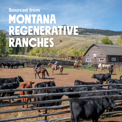 Cattle on a ranch with people on horseback and a barn in the background, sourced from Montana Regenerative Ranches.