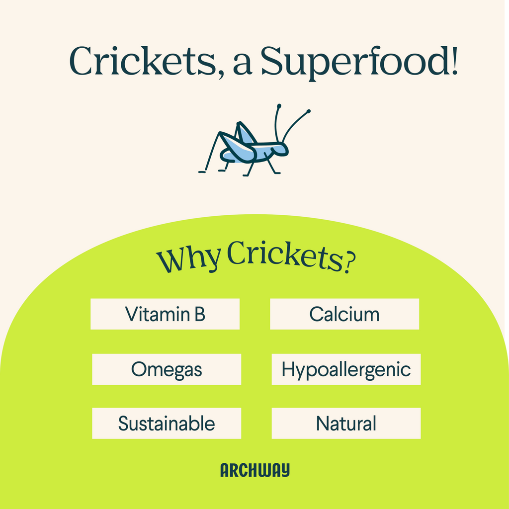 Advertisement for crickets as a superfood with a list of benefits and Archway branding.