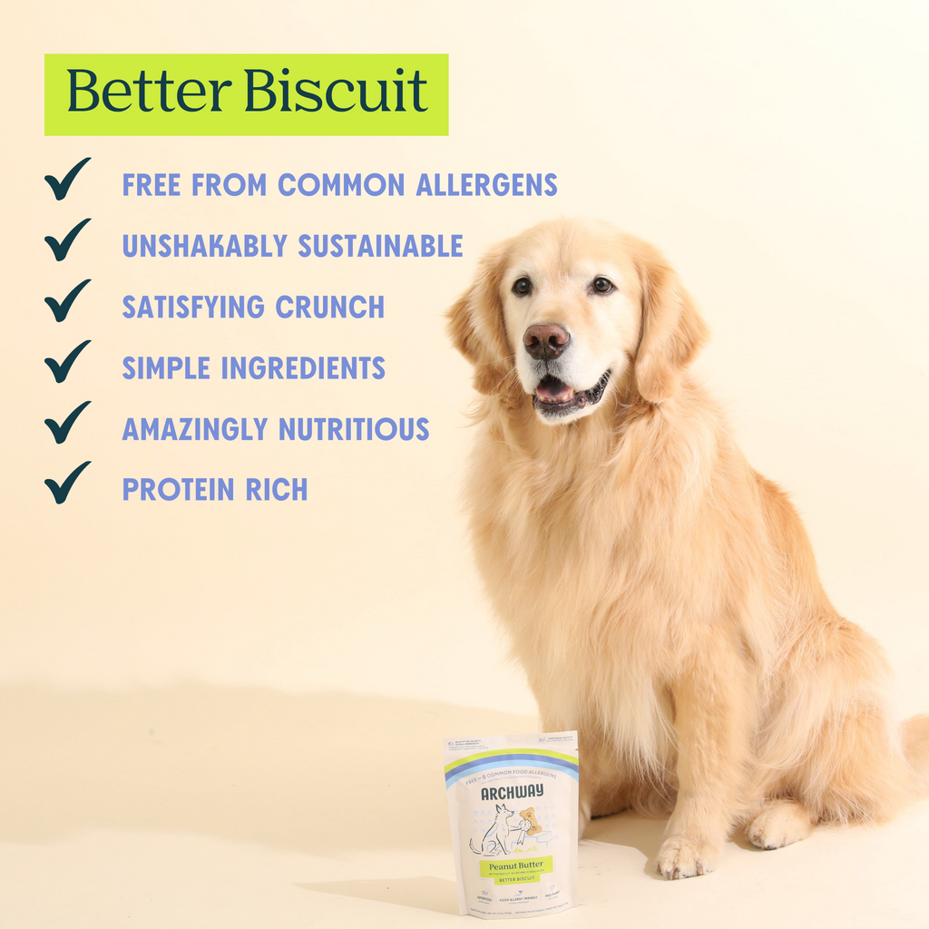 Dog sitting next to a bag of 'Better Biscuit' with product features listed on a beige background