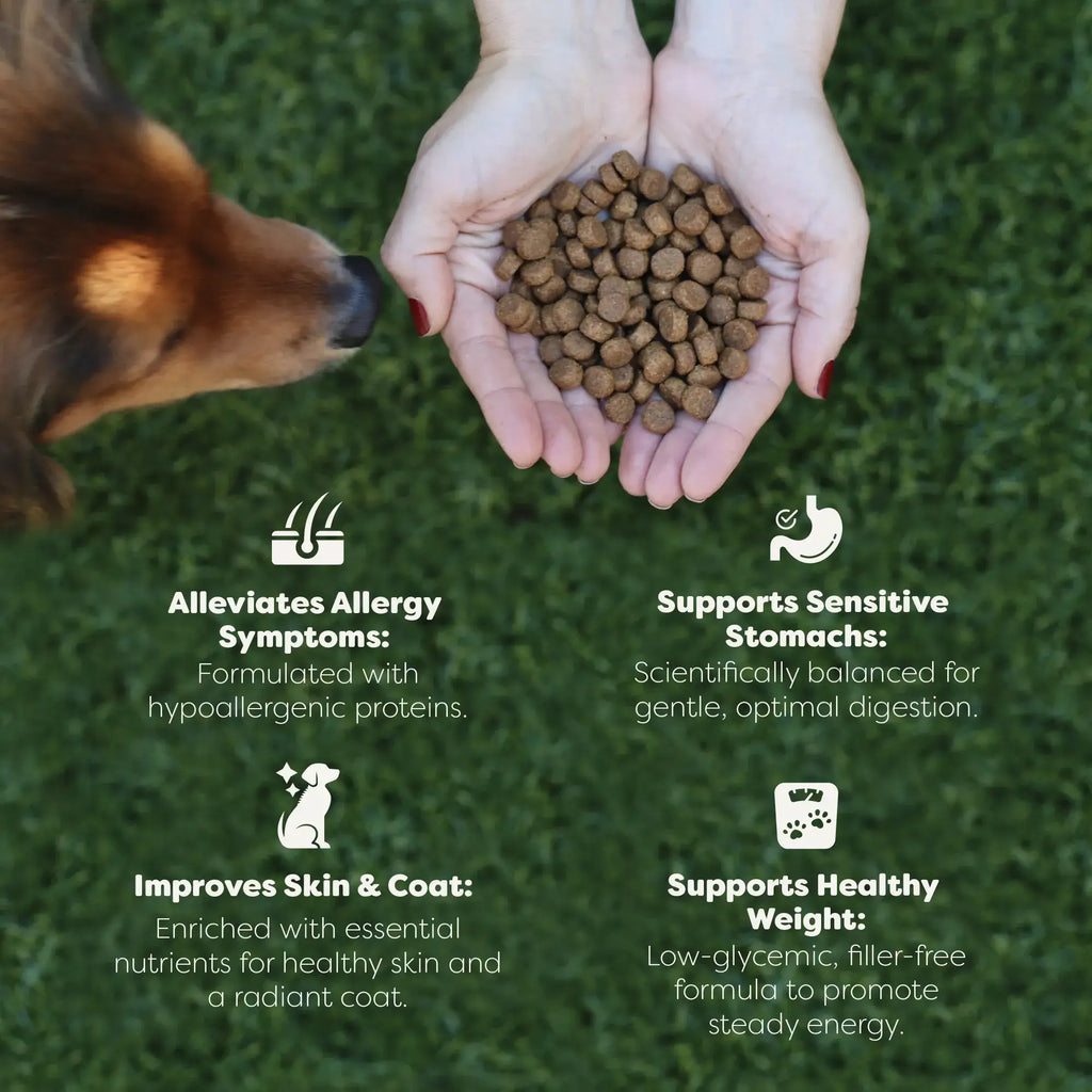Dog being fed a bowl of kibble with text highlighting benefits on a grass background