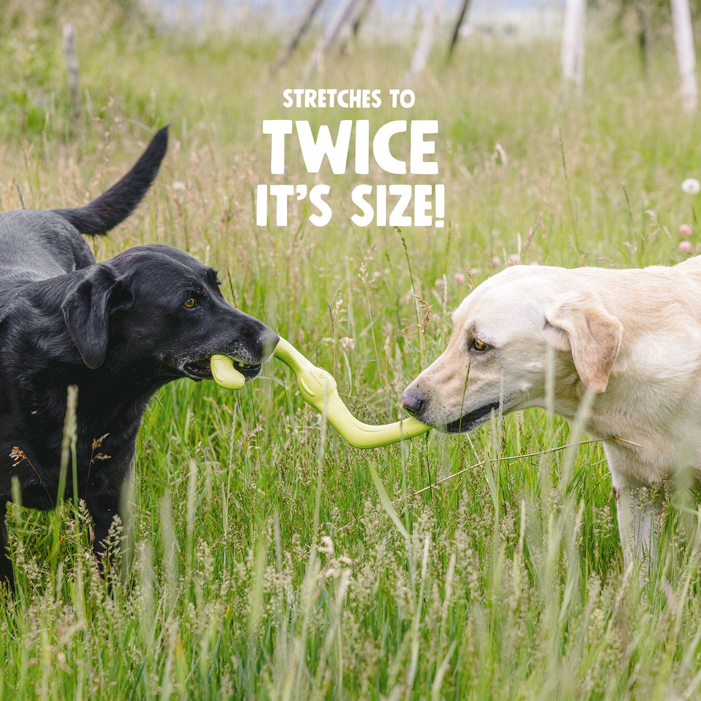 Two dogs playing with a large green toy in a grassy field.