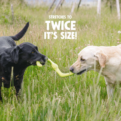 Two dogs playing with a large green toy in a grassy field.