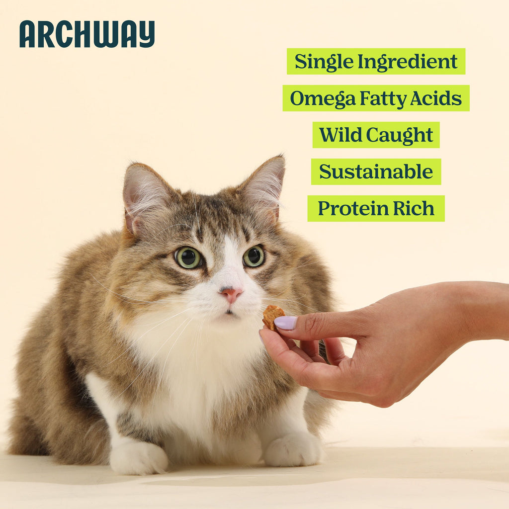Cat being fed by a hand with Archway brand name and product features listed.