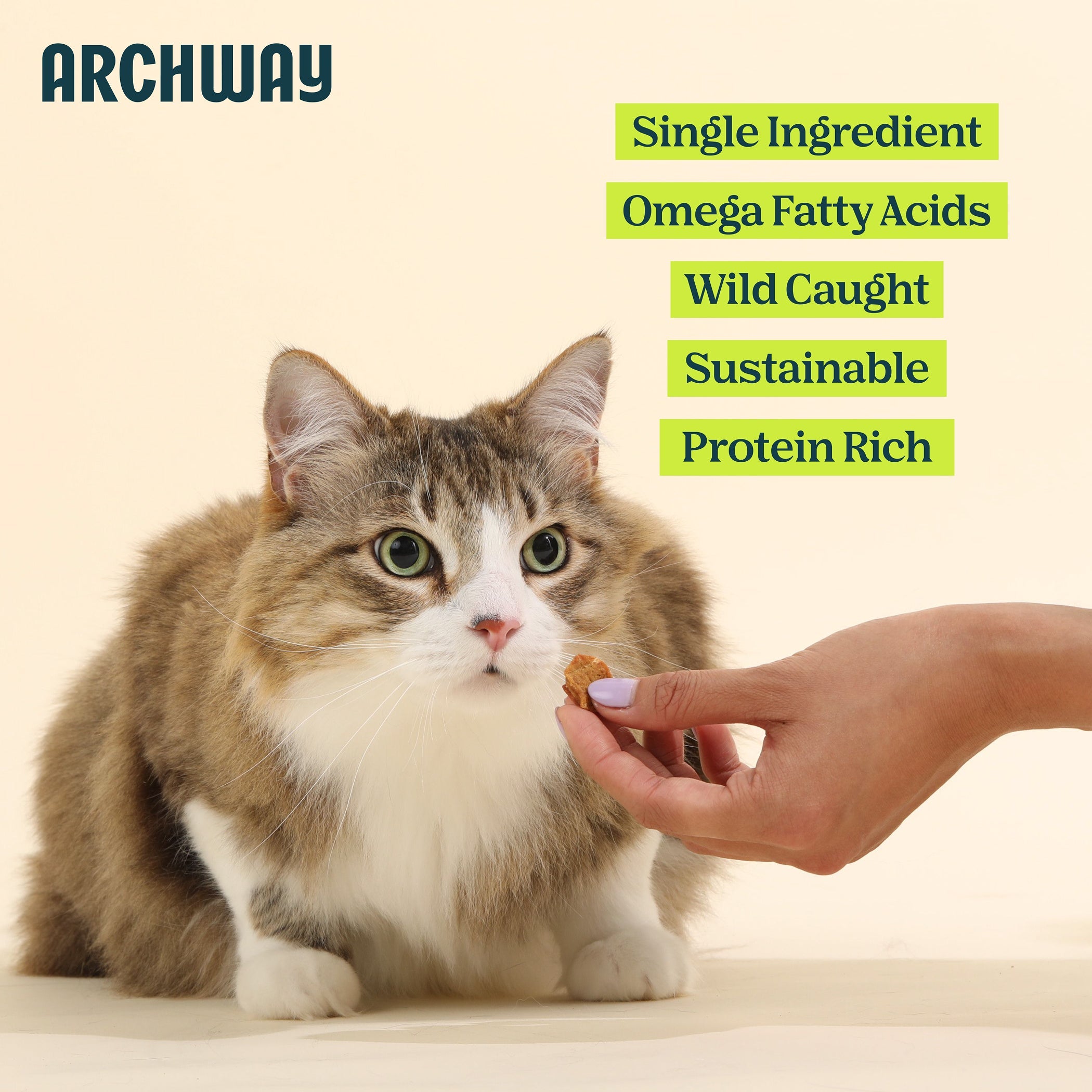 Cat being fed by a hand with Archway brand name and product features listed.