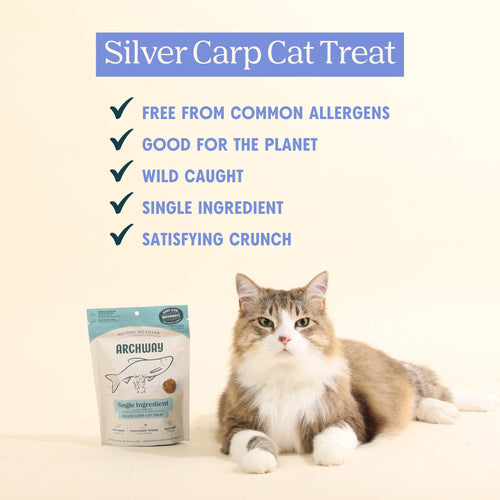 Cat treat packaging with a cat and product description on a beige background