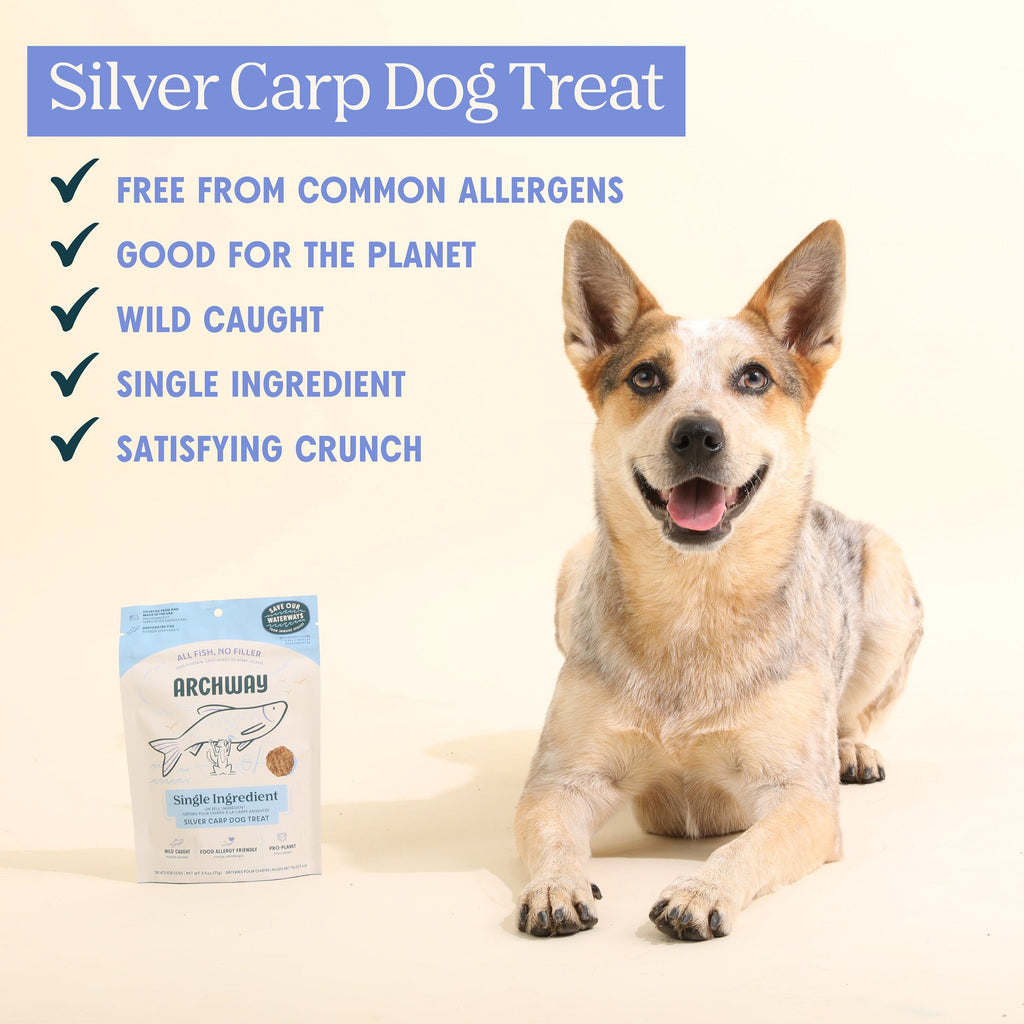 Dog treat packaging with a dog and product details on a white background