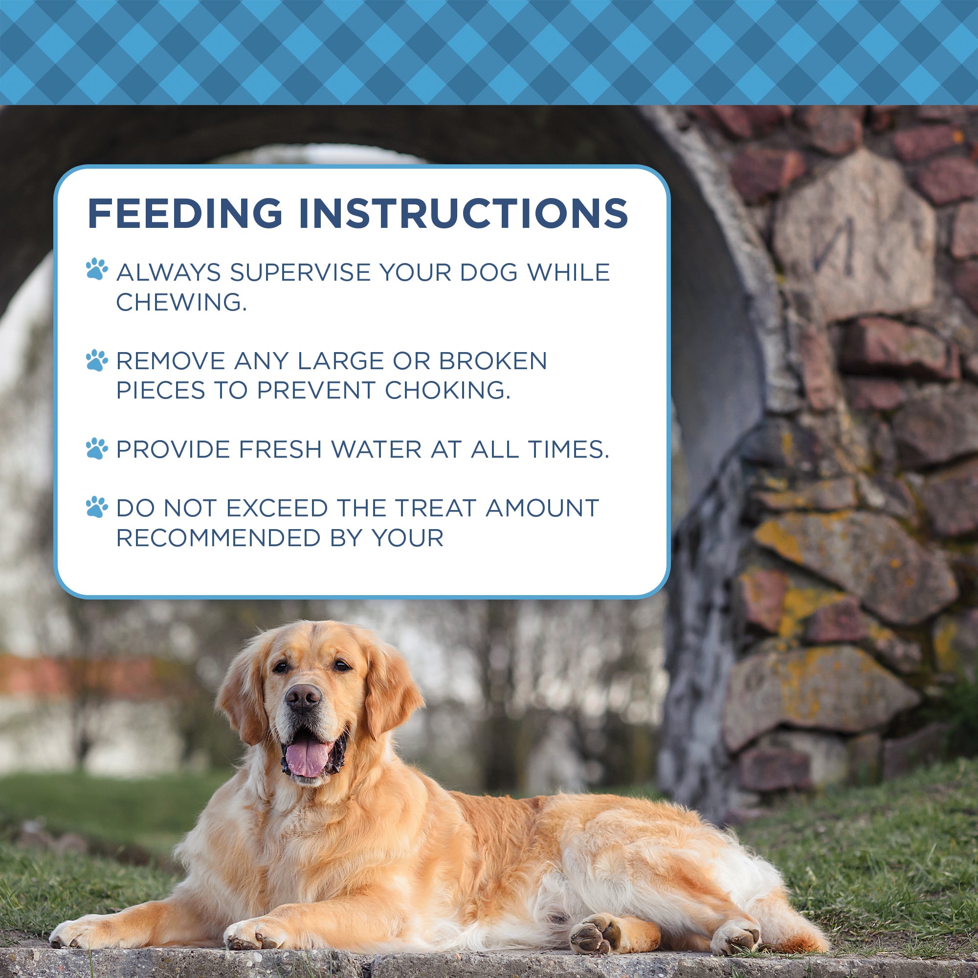 Country Living Beef Center Cut Bones – 5 Pack Natural Dog Chews - Whisker House