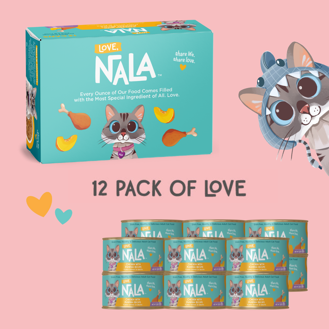 NALA cat food packaging with a 12-pack on a pink background