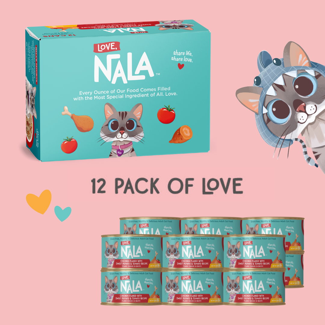 NALA cat food packaging with a cartoon cat character on a pink background