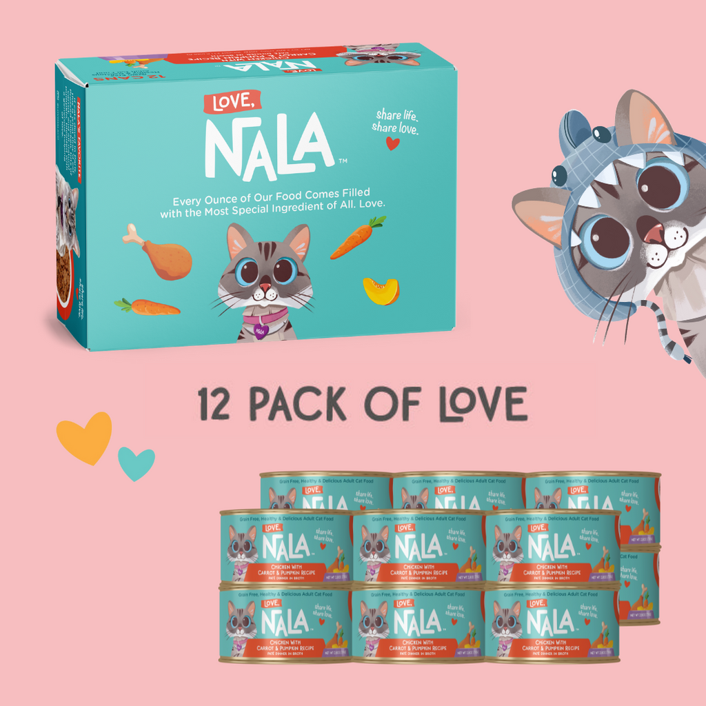 NALA cat food packaging with a pink background and cartoon cat character.