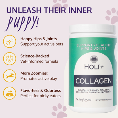 HOLI+ Collagen supplement for pets with text highlighting benefits on a light purple background.