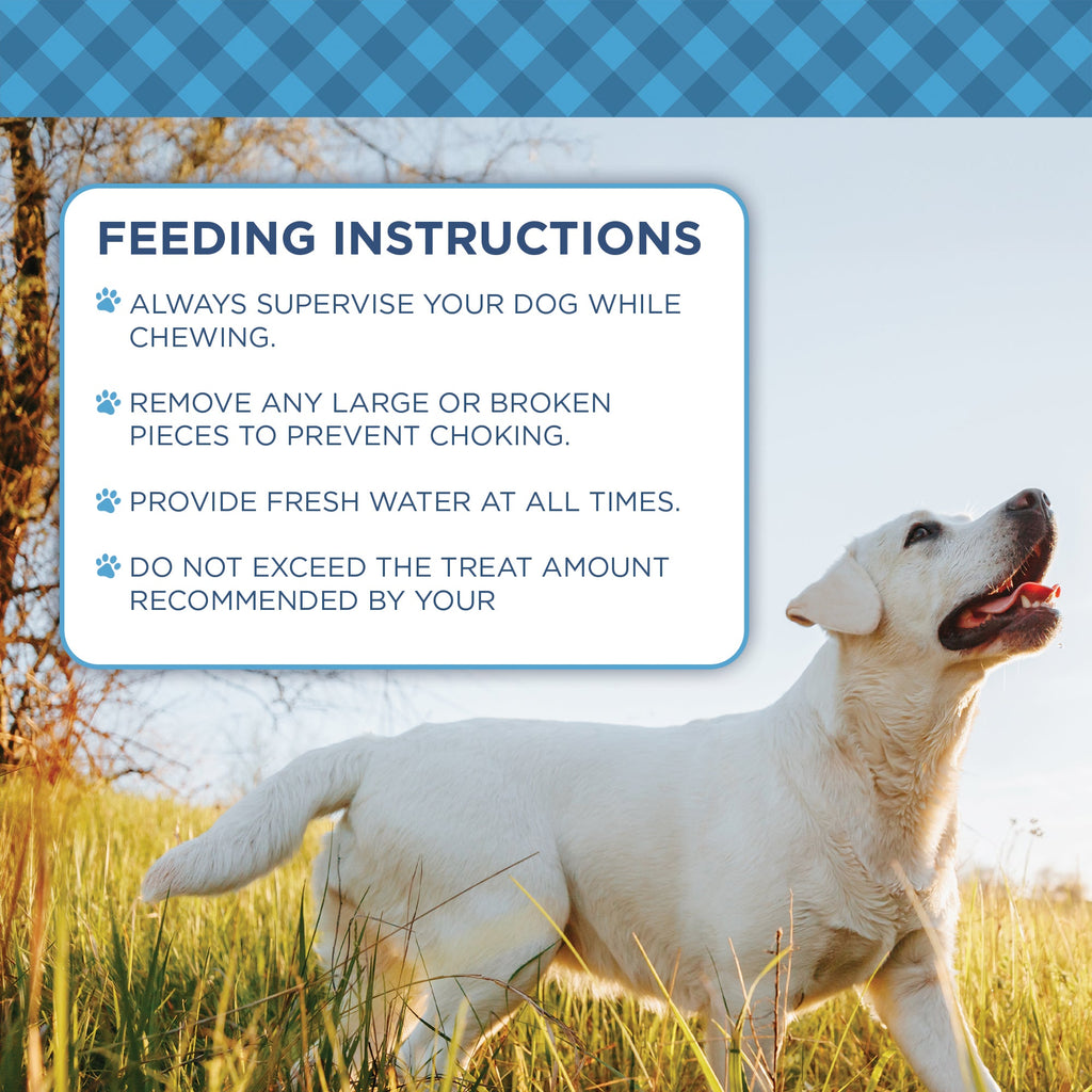 Country Living Natural Cow Ears Dog Chews – 10 Count Bag – All-Natural, Single-Ingredient, Long-Lasting Dog Chews – High-Protein, Low-Fat, Rawhide-Free – Supports Dental Health - Whisker House