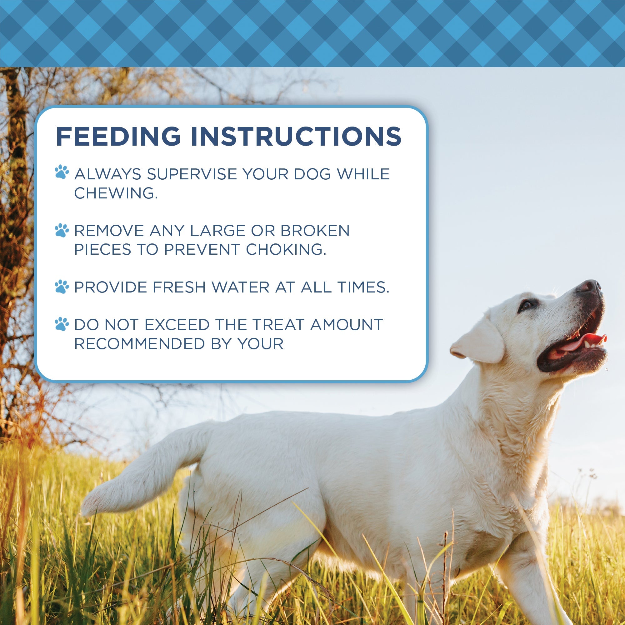 Country Living Natural Cow Ears Dog Chews – 10 Count Bag – All-Natural, Single-Ingredient, Long-Lasting Dog Chews – High-Protein, Low-Fat, Rawhide-Free – Supports Dental Health - Whisker House