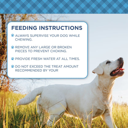 Country Living Natural Cow Ears Dog Chews – 10 Count Bag – All-Natural, Single-Ingredient, Long-Lasting Dog Chews – High-Protein, Low-Fat, Rawhide-Free – Supports Dental Health - Whisker House