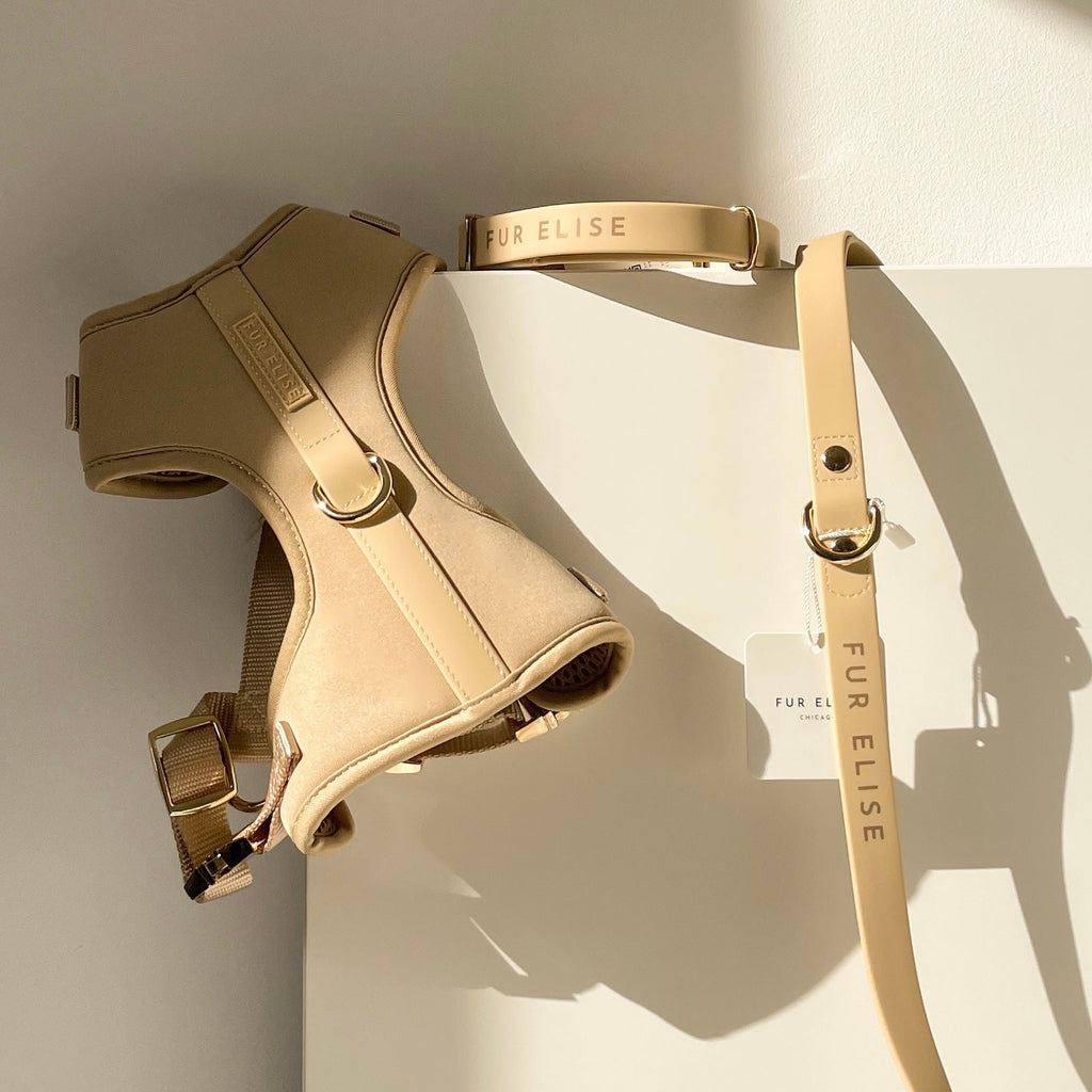 Beige dog harness and leash set with 'Fure Elise' branding on a light background