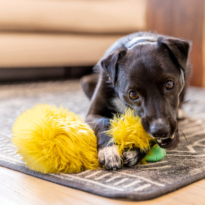 Dog playing with a yellow toy on a rug