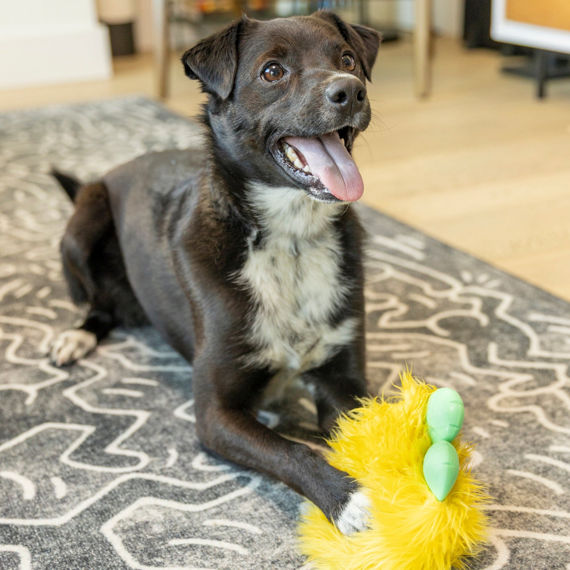 Dog lying on a patterned rug with a toy next to it