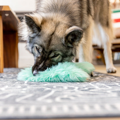 Dog playing with a green toy on a carpeted floor