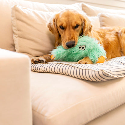 Dog playing with a green plush toy on a couch