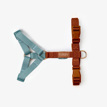 FURLOU Blue and Clay Dog Harness worn by a dog, view 2