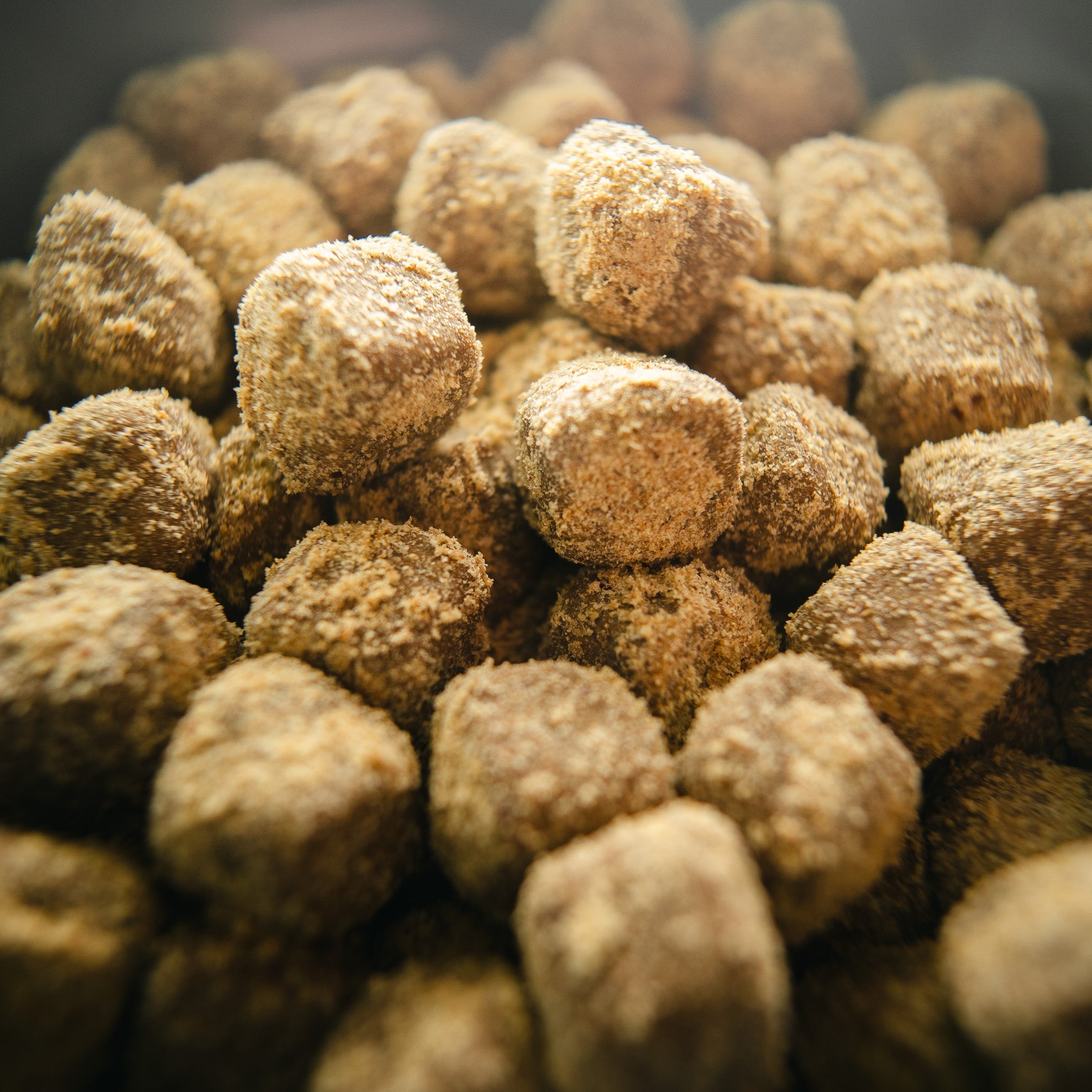 Close-up of brown dog food pellets