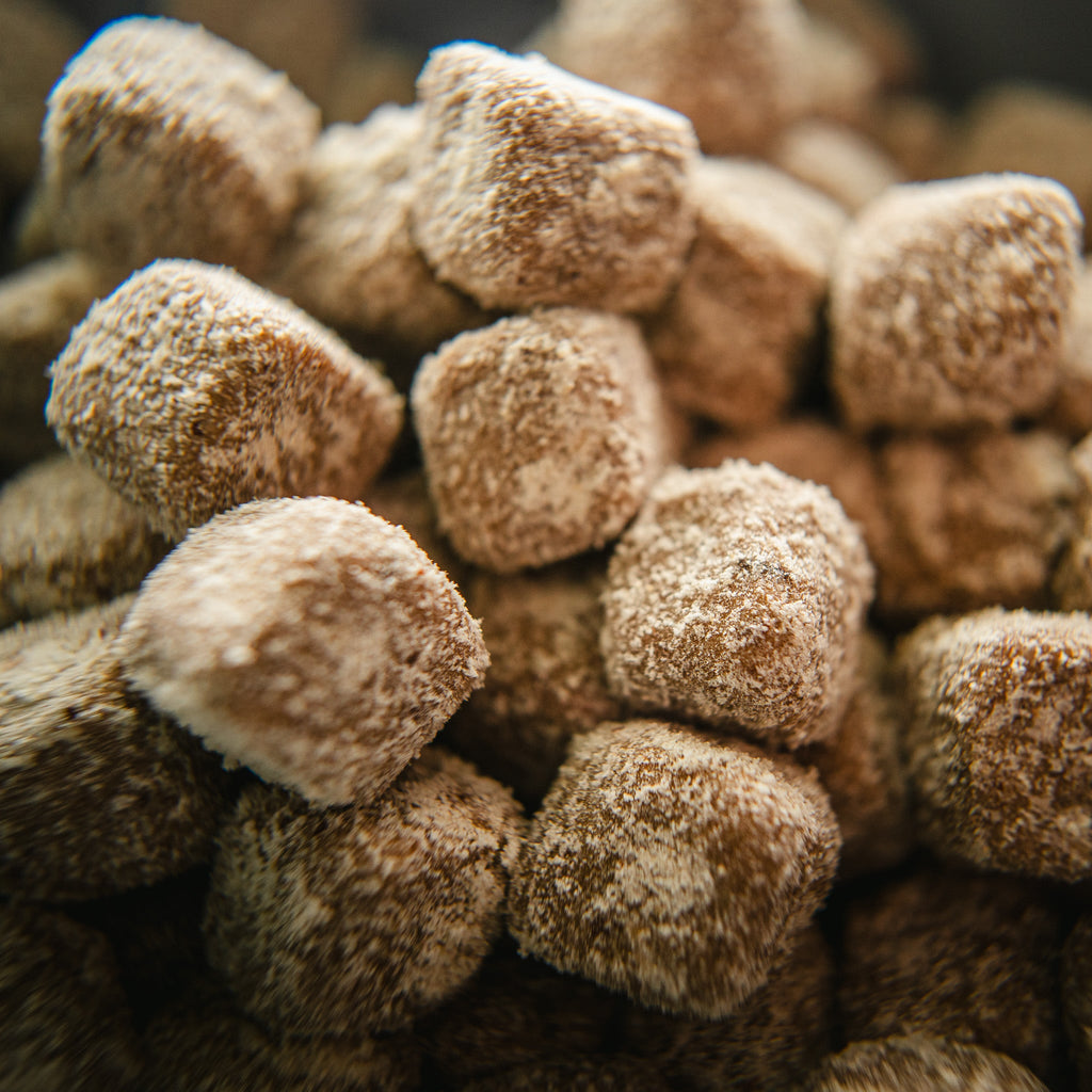 dog supplements chews.