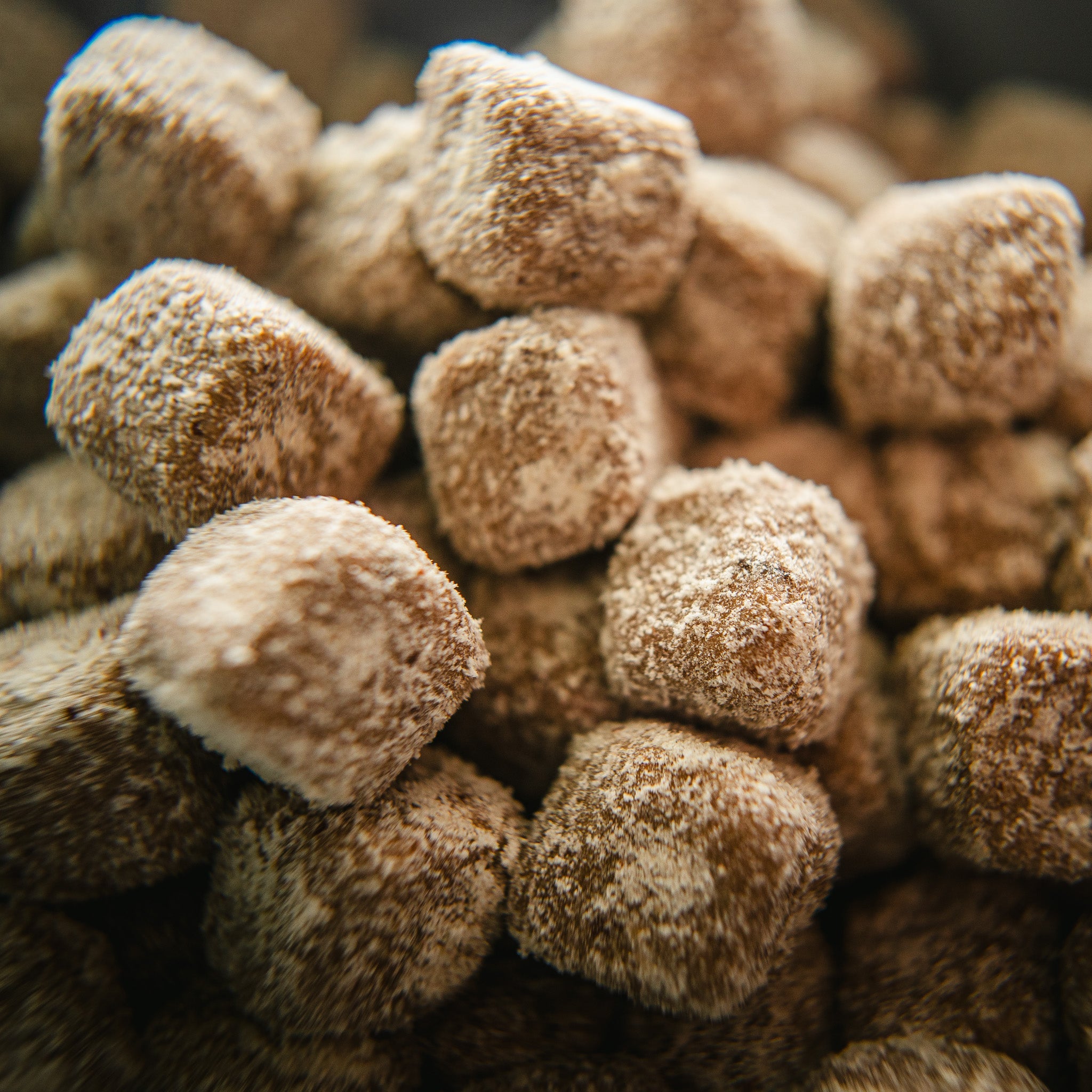 dog supplements chews.